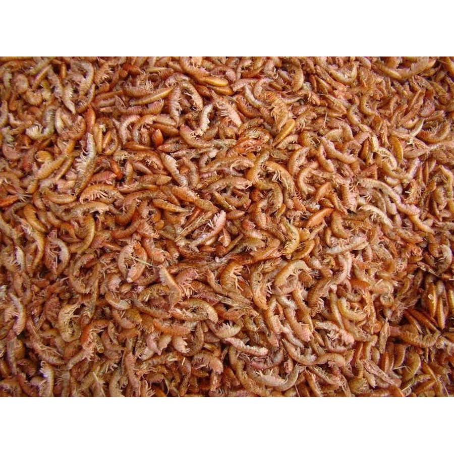 Tropical Gammarus alimento para reptiles, , large Imagen numero 3